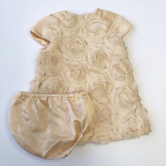 The Children’s Place Champagne Tulle Rose Dress - Picture 7 of 7